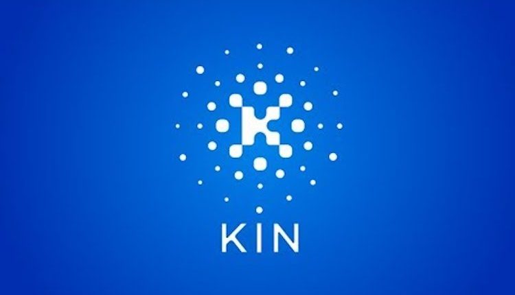 Kin