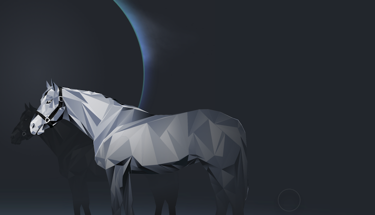 zed horse racing zed horse racing
