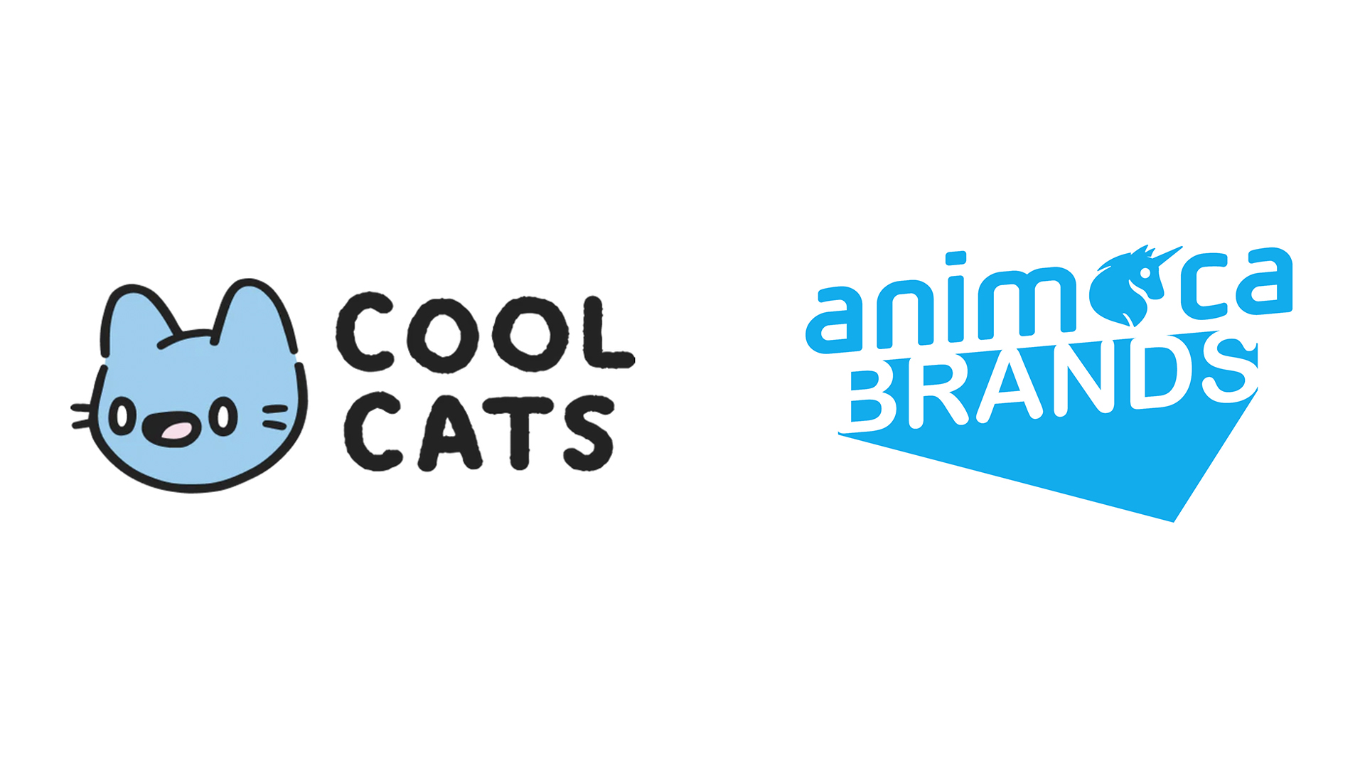 Animoca Brands gives strategic investment to Cool Cats