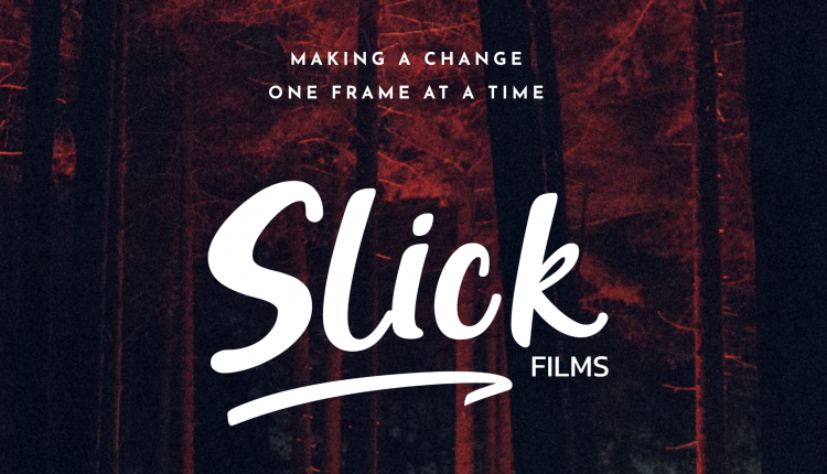Sticks and Shelter