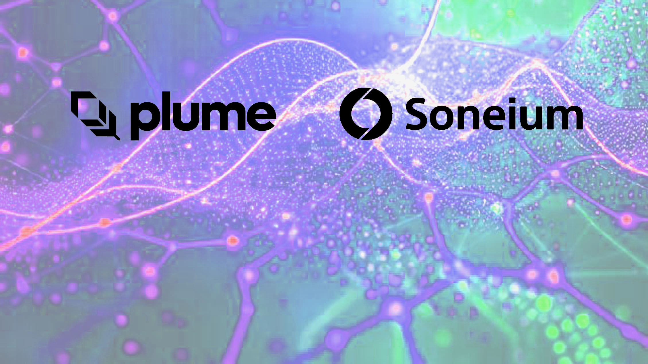 Soneium taps RWA chain Plume to unlock real world asset staking and yield -  BlockchainGamerBiz